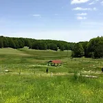 Villaggio Grechi Деревянный коттедж