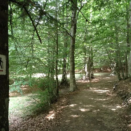 Villaggio Grechi Gerendaház Zagarise