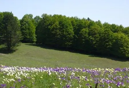 Gerendaház Villaggio Grechi Zagarise